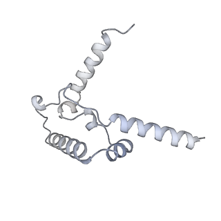 9539_5gup_9_v1-1
Cryo-EM structure of mammalian respiratory supercomplex I1III2IV1