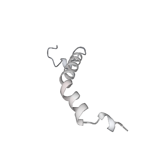 9539_5gup_Ad_v1-1
Cryo-EM structure of mammalian respiratory supercomplex I1III2IV1