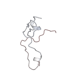 9539_5gup_Af_v1-1
Cryo-EM structure of mammalian respiratory supercomplex I1III2IV1