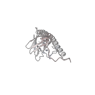 9539_5gup_Al_v1-1
Cryo-EM structure of mammalian respiratory supercomplex I1III2IV1