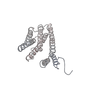 9539_5gup_Am_v1-1
Cryo-EM structure of mammalian respiratory supercomplex I1III2IV1