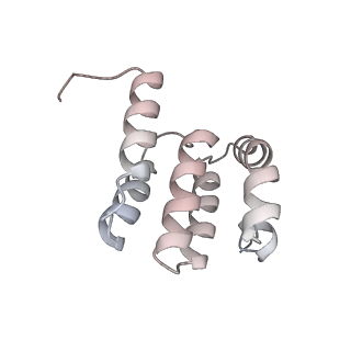 9539_5gup_Ao_v1-1
Cryo-EM structure of mammalian respiratory supercomplex I1III2IV1