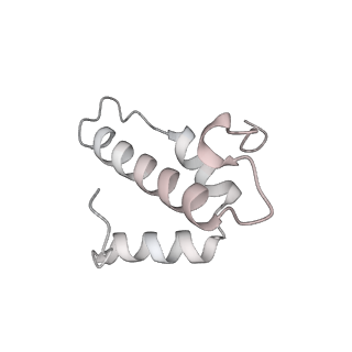 9539_5gup_Ar_v1-1
Cryo-EM structure of mammalian respiratory supercomplex I1III2IV1
