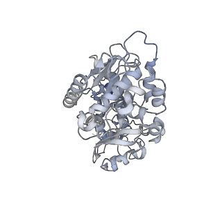 9539_5gup_B_v1-1
Cryo-EM structure of mammalian respiratory supercomplex I1III2IV1