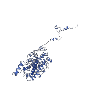 9539_5gup_C_v1-1
Cryo-EM structure of mammalian respiratory supercomplex I1III2IV1