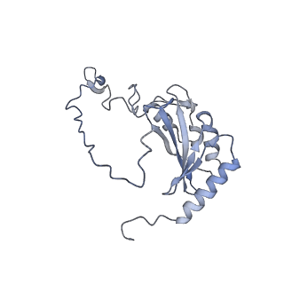 9539_5gup_D_v1-1
Cryo-EM structure of mammalian respiratory supercomplex I1III2IV1