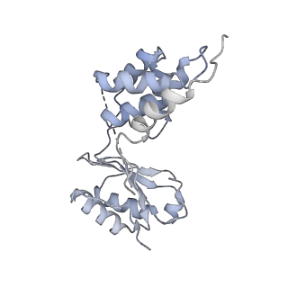 9539_5gup_E_v1-1
Cryo-EM structure of mammalian respiratory supercomplex I1III2IV1