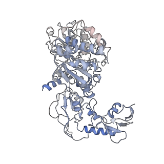 9539_5gup_G_v1-1
Cryo-EM structure of mammalian respiratory supercomplex I1III2IV1
