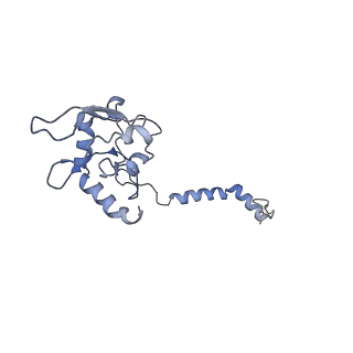 9539_5gup_H_v1-1
Cryo-EM structure of mammalian respiratory supercomplex I1III2IV1