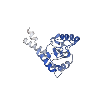 9539_5gup_I_v1-1
Cryo-EM structure of mammalian respiratory supercomplex I1III2IV1