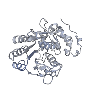 9539_5gup_L_v1-1
Cryo-EM structure of mammalian respiratory supercomplex I1III2IV1