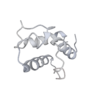 9539_5gup_O_v1-1
Cryo-EM structure of mammalian respiratory supercomplex I1III2IV1