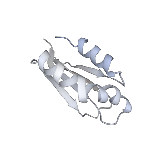9539_5gup_P_v1-1
Cryo-EM structure of mammalian respiratory supercomplex I1III2IV1