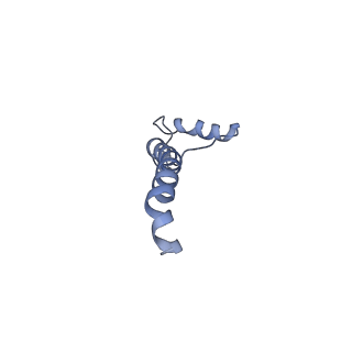 9539_5gup_S_v1-1
Cryo-EM structure of mammalian respiratory supercomplex I1III2IV1