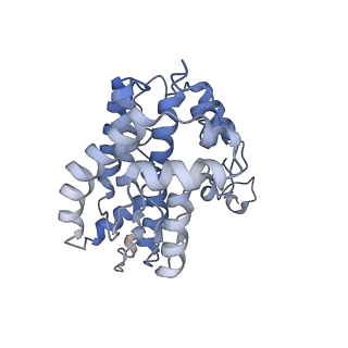 9539_5gup_U_v1-1
Cryo-EM structure of mammalian respiratory supercomplex I1III2IV1