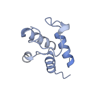 9539_5gup_X_v1-1
Cryo-EM structure of mammalian respiratory supercomplex I1III2IV1