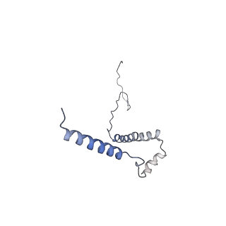 9539_5gup_b_v1-1
Cryo-EM structure of mammalian respiratory supercomplex I1III2IV1