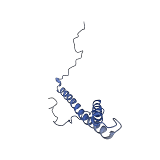 9539_5gup_g_v1-1
Cryo-EM structure of mammalian respiratory supercomplex I1III2IV1