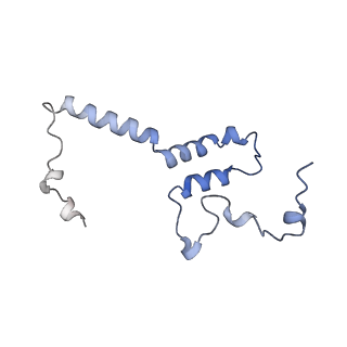 9539_5gup_h_v1-1
Cryo-EM structure of mammalian respiratory supercomplex I1III2IV1