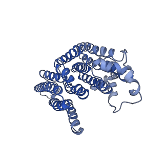 9539_5gup_i_v1-1
Cryo-EM structure of mammalian respiratory supercomplex I1III2IV1