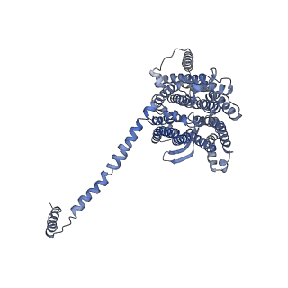 9539_5gup_l_v1-1
Cryo-EM structure of mammalian respiratory supercomplex I1III2IV1
