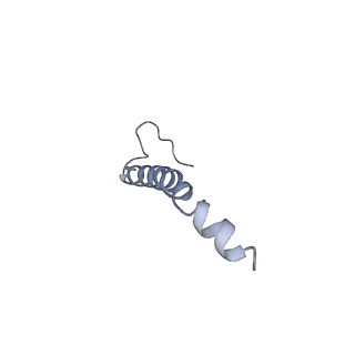 9539_5gup_n_v1-1
Cryo-EM structure of mammalian respiratory supercomplex I1III2IV1