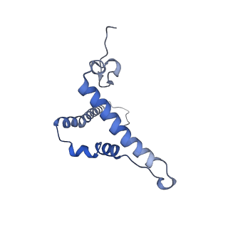 9539_5gup_o_v1-1
Cryo-EM structure of mammalian respiratory supercomplex I1III2IV1