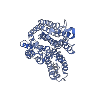 9539_5gup_q_v1-1
Cryo-EM structure of mammalian respiratory supercomplex I1III2IV1