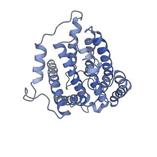 9539_5gup_r_v1-1
Cryo-EM structure of mammalian respiratory supercomplex I1III2IV1