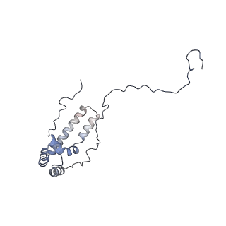 9539_5gup_s_v1-1
Cryo-EM structure of mammalian respiratory supercomplex I1III2IV1