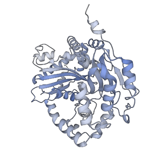 9539_5gup_u_v1-1
Cryo-EM structure of mammalian respiratory supercomplex I1III2IV1