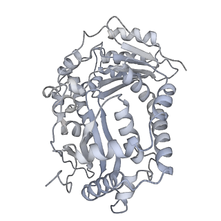 9539_5gup_v_v1-1
Cryo-EM structure of mammalian respiratory supercomplex I1III2IV1