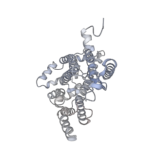 9539_5gup_w_v1-1
Cryo-EM structure of mammalian respiratory supercomplex I1III2IV1