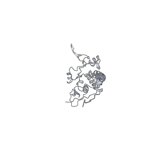 9539_5gup_x_v1-1
Cryo-EM structure of mammalian respiratory supercomplex I1III2IV1