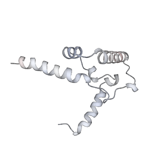 9539_5gup_y_v1-1
Cryo-EM structure of mammalian respiratory supercomplex I1III2IV1