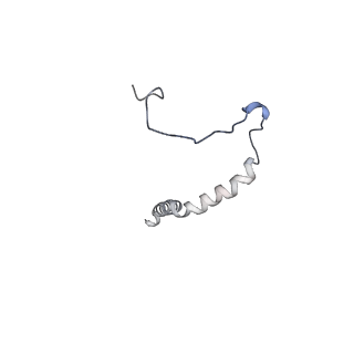 9539_5gup_z_v1-1
Cryo-EM structure of mammalian respiratory supercomplex I1III2IV1