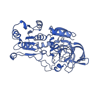 34282_8gv3_A_v1-0
The cryo-EM structure of GSNOR with NYY001