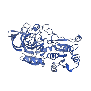 34282_8gv3_B_v1-0
The cryo-EM structure of GSNOR with NYY001
