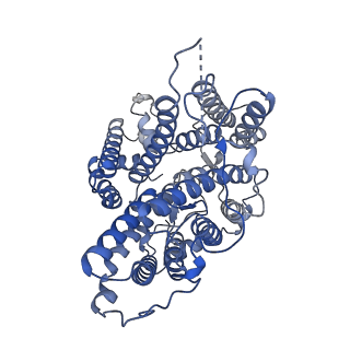 34290_8gvc_B_v1-0
The cryo-EM structure of hAE2 with bicarbonate