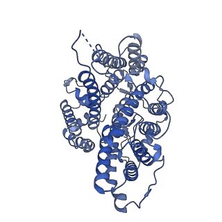 34292_8gvf_B_v1-0
The outward-facing structure of hAE2 in basic pH