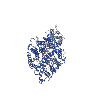 34293_8gvh_B_v1-1
Human AE2 in acidic KNO3