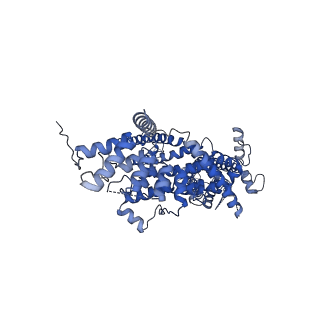 34300_8gvw_A_v1-0
Cryo-EM structure of the human TRPC5 ion channel in lipid nanodiscs, class2