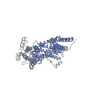 34301_8gvx_A_v1-0
Cryo-EM structure of the human TRPC5 ion channel in complex with G alpha i3 subunits, class2