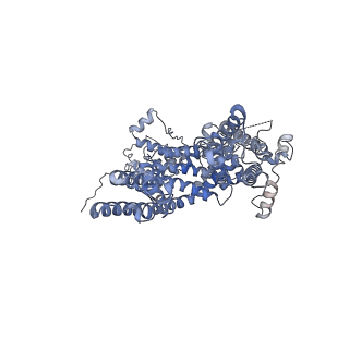 34301_8gvx_C_v1-0
Cryo-EM structure of the human TRPC5 ion channel in complex with G alpha i3 subunits, class2