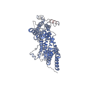34301_8gvx_D_v1-0
Cryo-EM structure of the human TRPC5 ion channel in complex with G alpha i3 subunits, class2