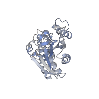 34301_8gvx_E_v1-0
Cryo-EM structure of the human TRPC5 ion channel in complex with G alpha i3 subunits, class2