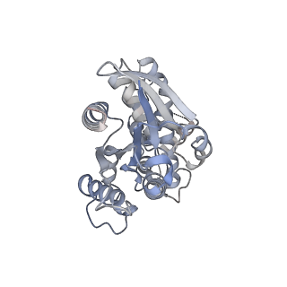 34301_8gvx_G_v1-0
Cryo-EM structure of the human TRPC5 ion channel in complex with G alpha i3 subunits, class2