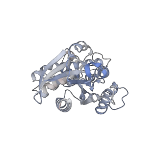 34301_8gvx_H_v1-0
Cryo-EM structure of the human TRPC5 ion channel in complex with G alpha i3 subunits, class2