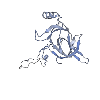 0076_6gwt_D_v1-1
Cryo-EM structure of an E. coli 70S ribosome in complex with RF3-GDPCP, RF1(GAQ) and Pint-tRNA (State I)