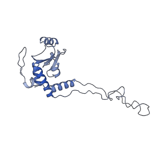 0076_6gwt_E_v1-1
Cryo-EM structure of an E. coli 70S ribosome in complex with RF3-GDPCP, RF1(GAQ) and Pint-tRNA (State I)